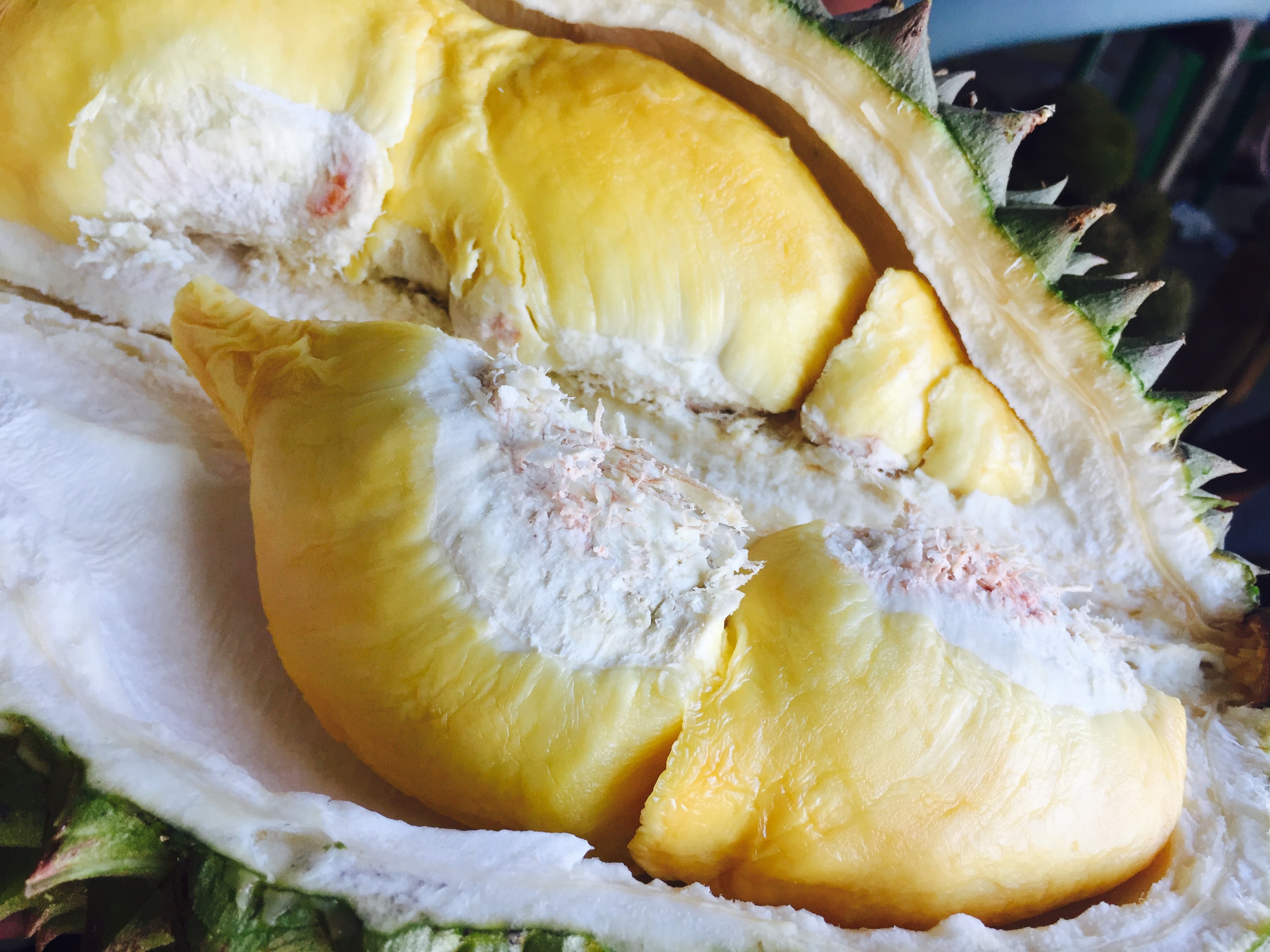 Close up of an open durian fruit